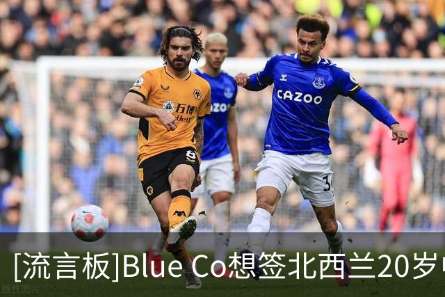 [流言板]Blue Co想签北西兰20岁中场伊伦基，先白堡再考虑提干切尔西